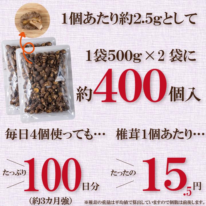 国内産訳あり小粒椎茸500ｇ×2　干し椎茸 国産 訳あり どんこ ワレ・カケあり 送料無料 最安値挑戦中