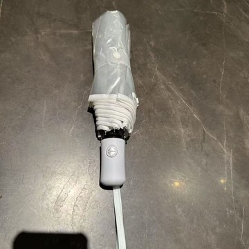 臺灣出貨 小衆新款ins風透明高顏值摺疊全自動長柄可愛學生成人雨傘專用