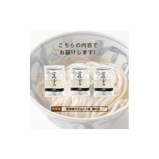 ふるさと納税 香川県 坂出市 生うどん 麺のみ 9食（300g×3袋）普通麺｜うどん 生麺