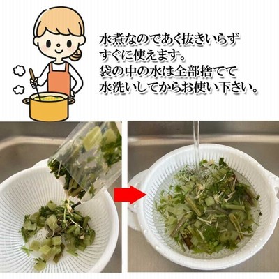 国産 山菜ミックス 水煮 100ｇ | LINEショッピング