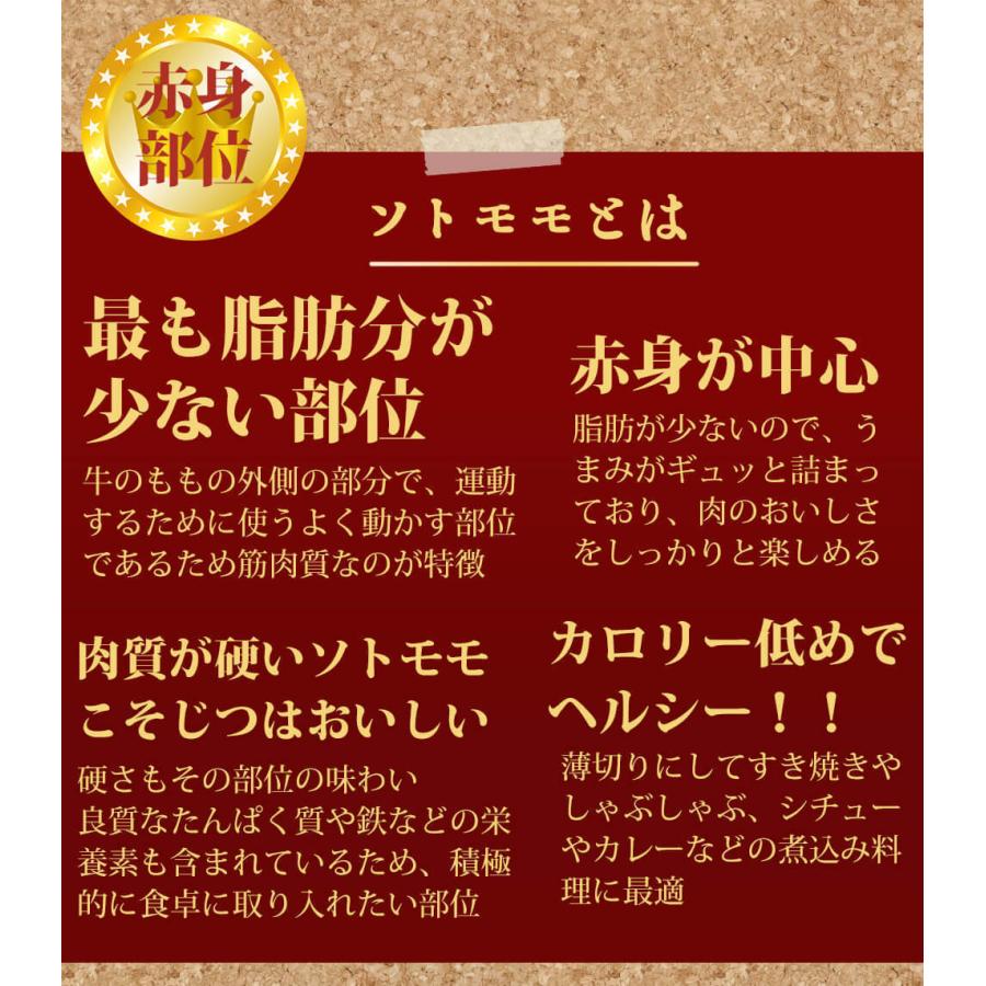 ソトモモ 約15kg 黒毛和牛 A5ランク 5等級 牛もも肉 牛モモ肉 国産牛 ブロック 業務用 贈答品 ギフト ブランド牛