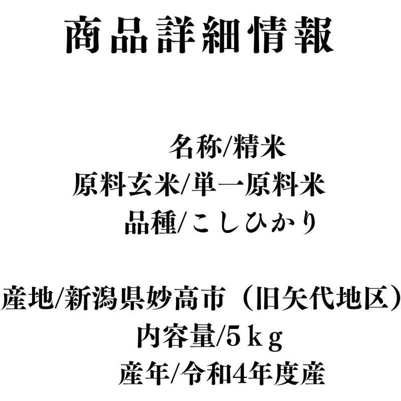 令和４年度産新米新潟こしひかり 矢代米(やしろまい) 精米 ５ｋｇ (2袋)