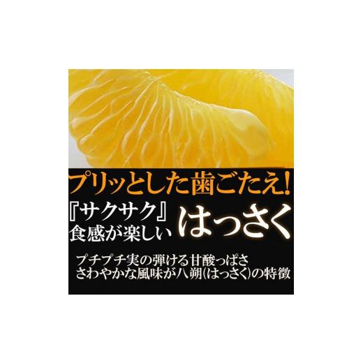 ふるさと納税 和歌山県 有田川町 八朔(はっさく) 10kg 有田川町 家庭用