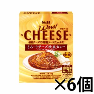 エスビー食品 WOW CHEESE とろ～りチーズ欧風カレー 中辛 170g