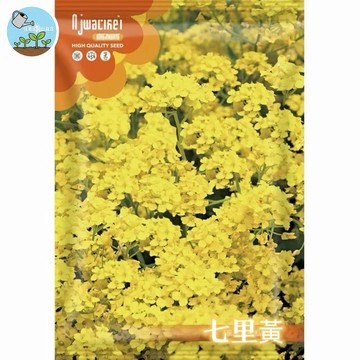 【原廠包裝】七里黃種子 橙黃花海景觀花卉 庭園盆栽好種植 春秋播種 多年生開花植物 蜜源植物 吸引蝶類 台灣出貨