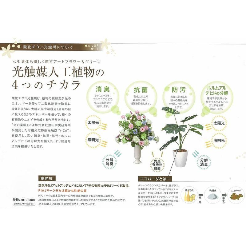 光触媒 人工観葉植物 光の楽園 フィットニアS 230A50 | LINEショッピング