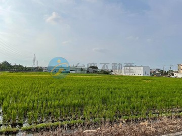楊梅美農地｜桃園市楊梅區和平段