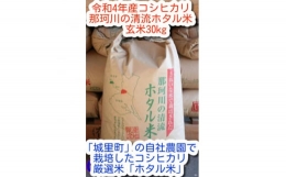 那珂川の清流ホタル米　玄米30kg 検査1等米令和4年産コシヒカリ　(玄米)