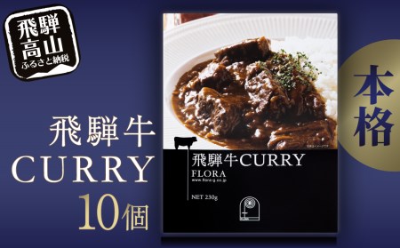 飛騨牛カレー10個セット カレー 本格　大きなお肉 レトルトカレー c517