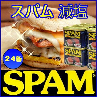 スパム 減塩 24缶 1ケース SPAM 手軽に作れるポークランチョンミート 豚肉加工 缶詰め 沖縄 通販 沖縄土産