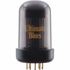 ローランド ROLAND BC TC-UB Blues Cube Ultimate Blues Tone Capsule ブルースキューブアンプ用トーンモディファイユニット