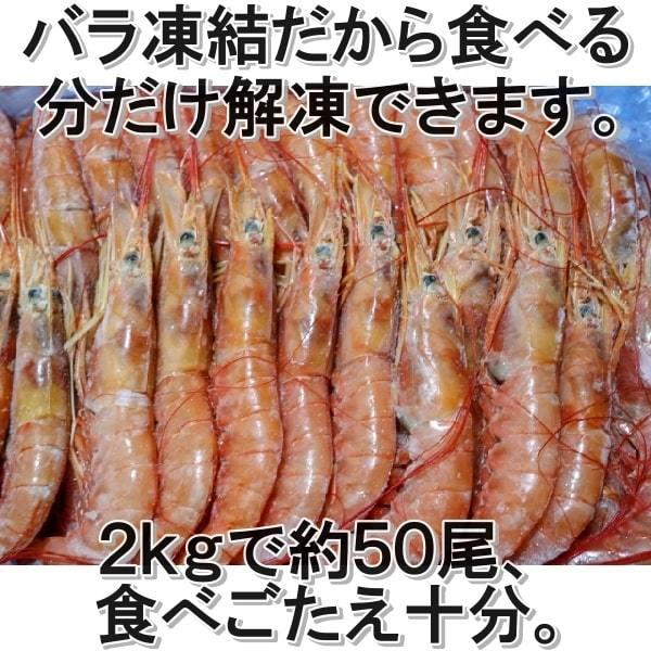 赤エビ ２ｋｇ 約50尾 お刺身用 赤海老 お寿司 どんぶり サラダ ギフト