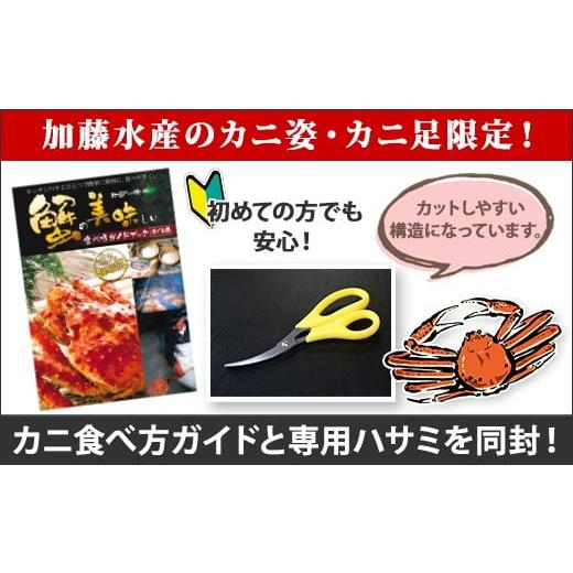 ふるさと納税 北海道 弟子屈町 1719.  ボイルズワイガニ姿 800g 食べ方ガイド・専用ハサミ付 カニ 蟹 送料無料 北海道 弟子屈町