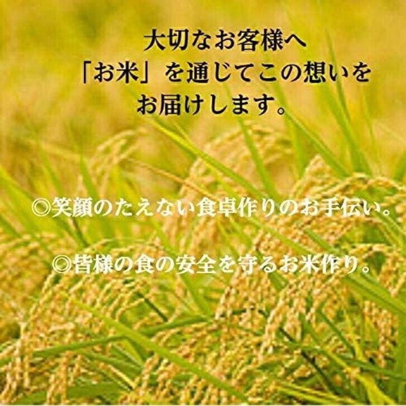 新米 精米 新潟県 魚沼産 コシヒカリ 令和4年産 白米 米 コメ （5?×1袋）