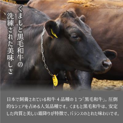 ふるさと納税 産山村 くまもと黒毛和牛・モモ焼肉用約500g