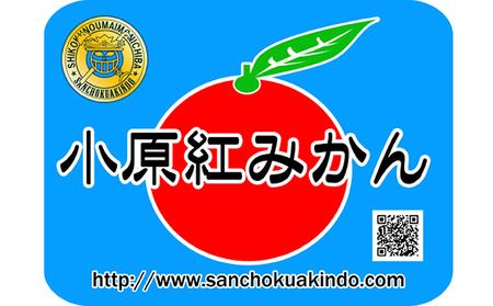 香川県のオリジナル品種 小原紅早生みかん約5kg×2箱