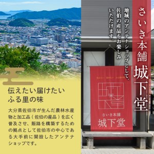 手作り塩セット(合計1.5kg以上・4種) 塩 ソルト 海水塩 しお なずなの塩 天日干し 食品 保存 調味料 漬物 梅干し 塩漬け 大分県 佐伯市