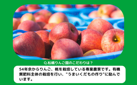 りんご サンふじ 家庭用 小玉 10kg 松橋りんご園 沖縄県への配送不可 2024年1月上旬頃から2024年4月上旬頃まで順次発送予定 令和5年度収穫分 フルーツ リンゴ 信州 長野県 飯綱町 [0630]