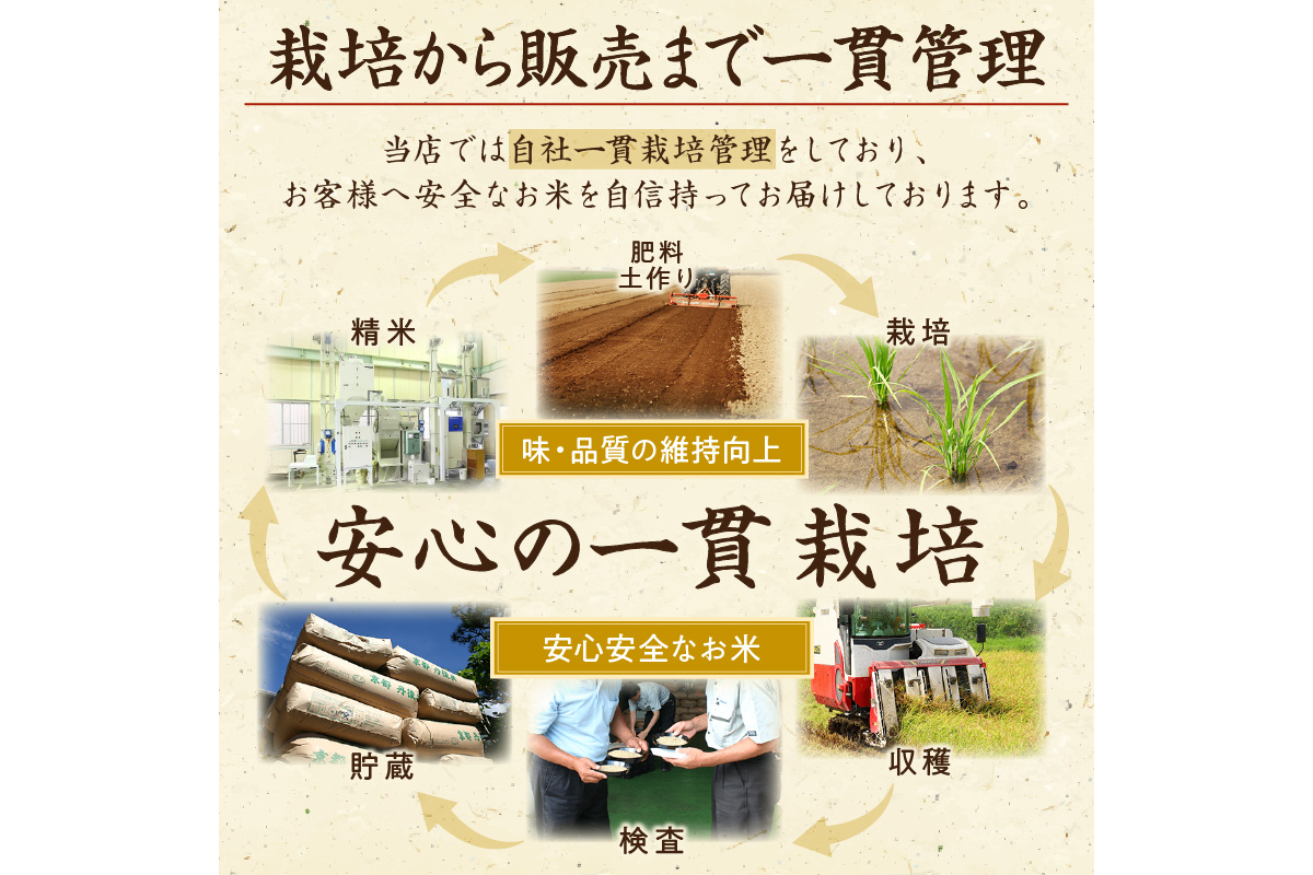 2023年産 京都・丹後コシヒカリ 無洗米 3kg  新米 こしひかり 浜宗商店　HM00004