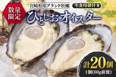 年内発送≪数量限定≫宮崎県産ブランド牡蠣『ひとしおオイスター』計20個　魚介　貝　かき　生食用　殻付き　国産 CB81-23