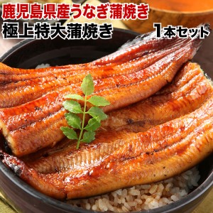 ギフト うなぎ 蒲焼き 国内産 送料別 特大蒲焼き(185g以上) 鹿児島産 海鮮 お誕生日 タレ山椒 お吸い物付