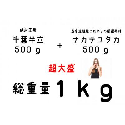 ふるさと納税 旭市 千葉県産落花生 2種味比べセット 1.0kg(千葉半立・ナカテユタカ各500g)殻付き　さや煎り