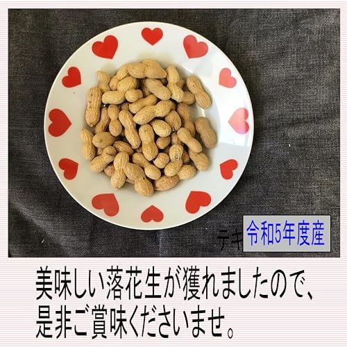 煎ざや(ナカテユタカ)500g 千葉県八街産落花生