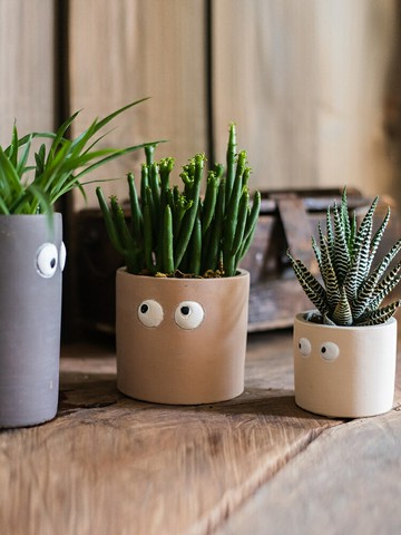 掬涵大眼萌文藝花盆肉肉可愛個性卡通多肉綠植創意復古盆栽盆景盆