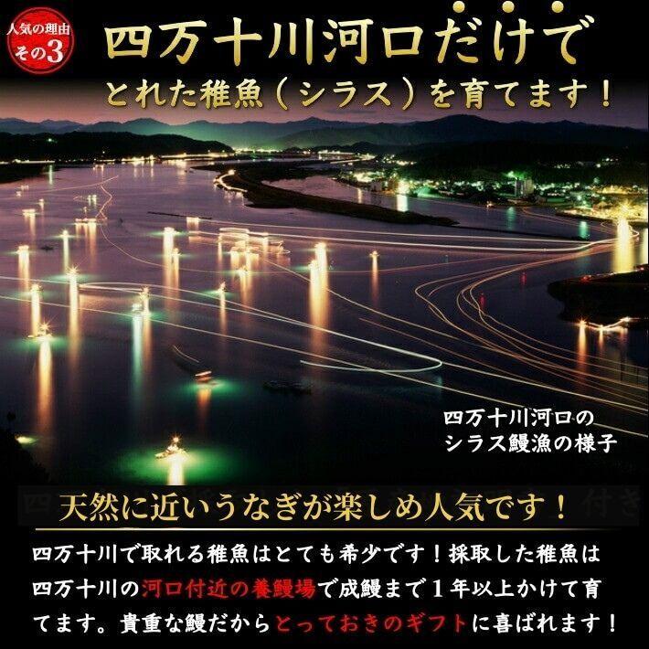 四万十 うなぎ 蒲焼き 国産 4尾 無投薬 四万十川 誕生日 ギフト 高知県産