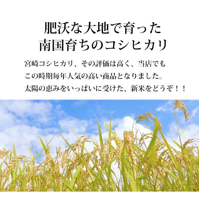 新米 令和5年 お米 宮崎県産 コシヒカリ 5kg 玄米 白米 7分づき 5分づき 3分づき ご注文後に精米