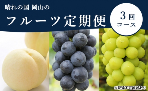 桃 ぶどう 定期便 2024年 先行予約 晴れの国 岡山 の フルーツ 定期便 3回コース もも モモ 葡萄 ブドウ 岡山県産 国産 セット ギフト