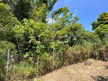 豐陽國中方正農地｜台中市豐原區聯合段