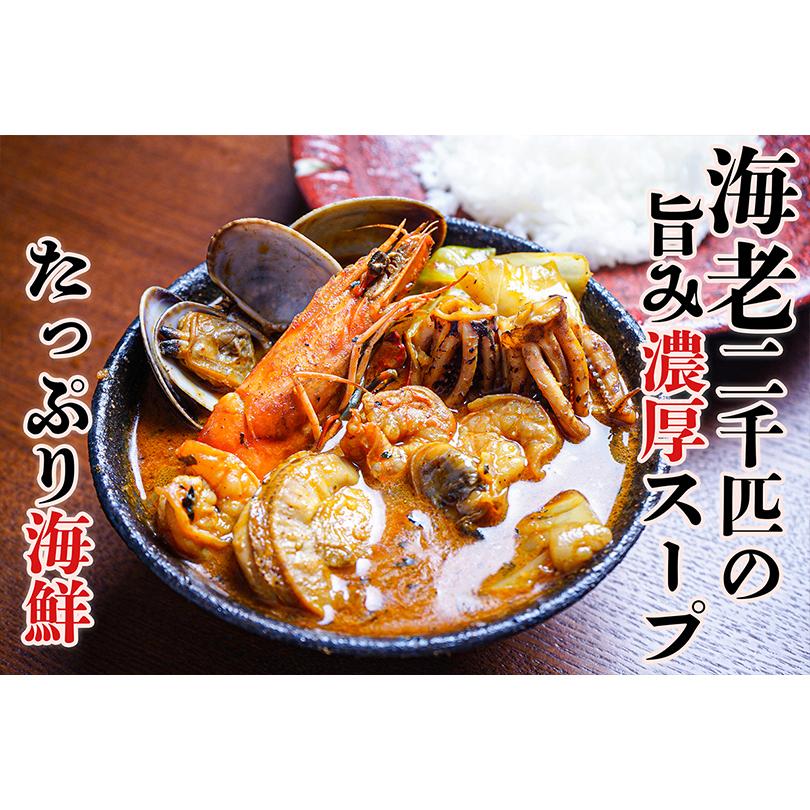 2箱セット 奥芝商店 海鮮 スープカレー 500g×2個入 2〜4人前 北海道 お土産 札幌 有名店 ギフト プレゼント お取り寄せ 冷凍 送料無料