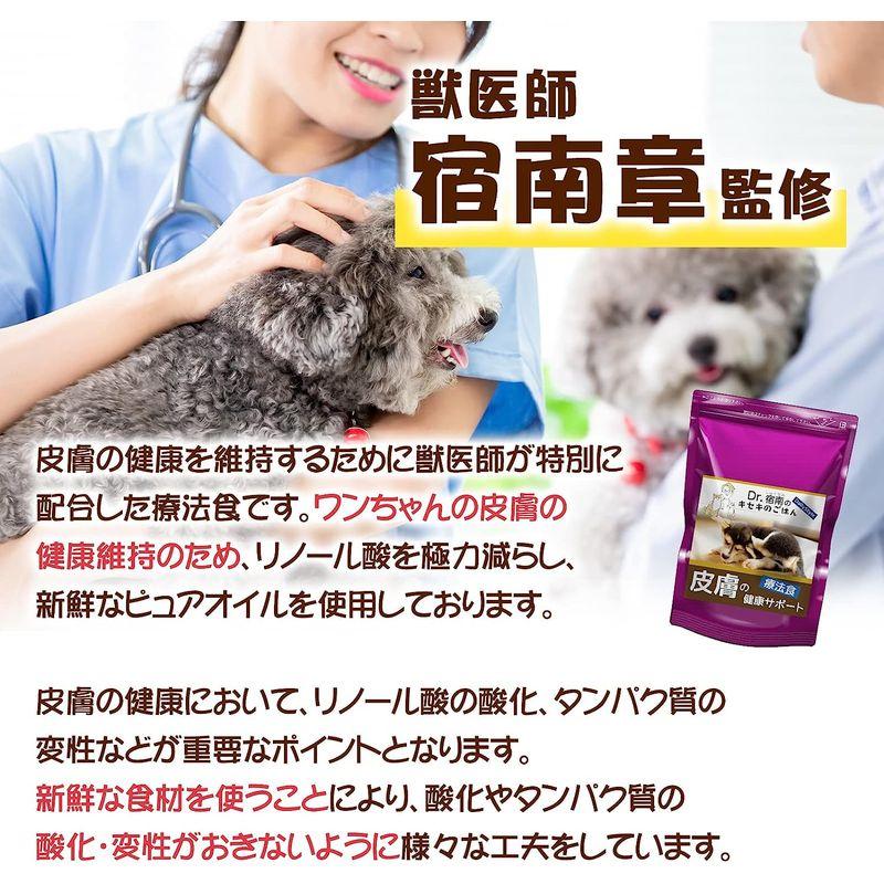 ドッグフード 皮膚の健康サポート 犬用療法食 1kg・Dr.宿南のキセキのごはん 獣医師開発 鹿肉 ベニソン 犬