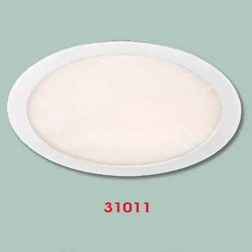 【崁入孔22公分】20W 崁燈 F35-43-31011