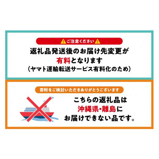 ふるさと納税 青森県 五所川原市   りんご 約10kg サンふじ 青森産