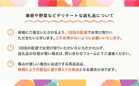 りんご サンふじ 約3kg 秀品 リンゴ 令和五年産 2023年産 果物 山形県産 ※沖縄・離島への配送不可 mm-risfs3