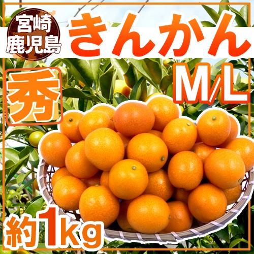 宮崎・鹿児島県 ”きんかん” 秀品 M L 約1kg 金柑