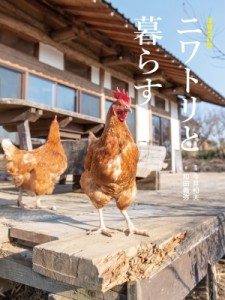  和田義弥   ニワトリと暮らす