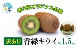 訳あり 無選別品 香川県オリジナル品種　香緑キウイ　約1.5kg