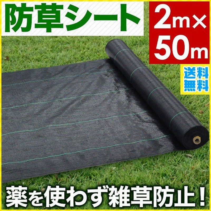 防草シート 2m 50m Uv剤入り 人工芝 雑草 芝生 安い 草 庭 雑草シート Diy ロール 雑草防止シート 砂利 芝 シート 効果 雑草駆除 雑草対策 通販 Lineポイント最大0 5 Get Lineショッピング