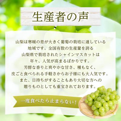 ふるさと納税 山梨市 山梨県産シャインマスカット2房(1kg以上) ふるさと納税