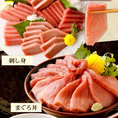 ふるさと納税 室戸市 天然めばちまぐろ 業務用900g