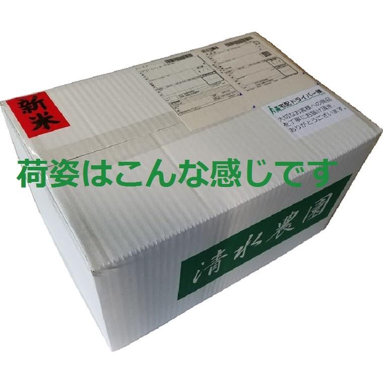 お米 白米 10kg ５kg袋2個入 コシヒカリ 令和5年産 2023年産 石川県白山市産 栽培期間中農薬不使用