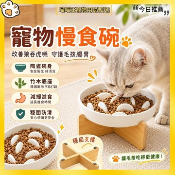 【喵喵汪甄選】🐱貓咪慢食碗 貓飼料碗 貓咪飼料碗 寵物陶瓷碗 寵物慢食碗 陶瓷貓碗 貓碗 寵物碗 慢食碗