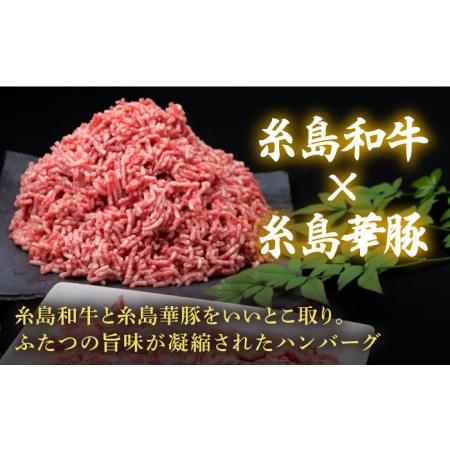 ふるさと納税 糸島和牛 小間切れ 500g ＆ 糸島和牛 糸島豚 合挽ミンチ 500g 計1kg《糸島》[ACA236] 博多 和牛 牛肉 豚肉 .. 福岡県糸島市