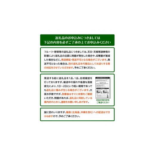 ふるさと納税 香川県 高松市 さぬきひめいちご化粧箱 約400g