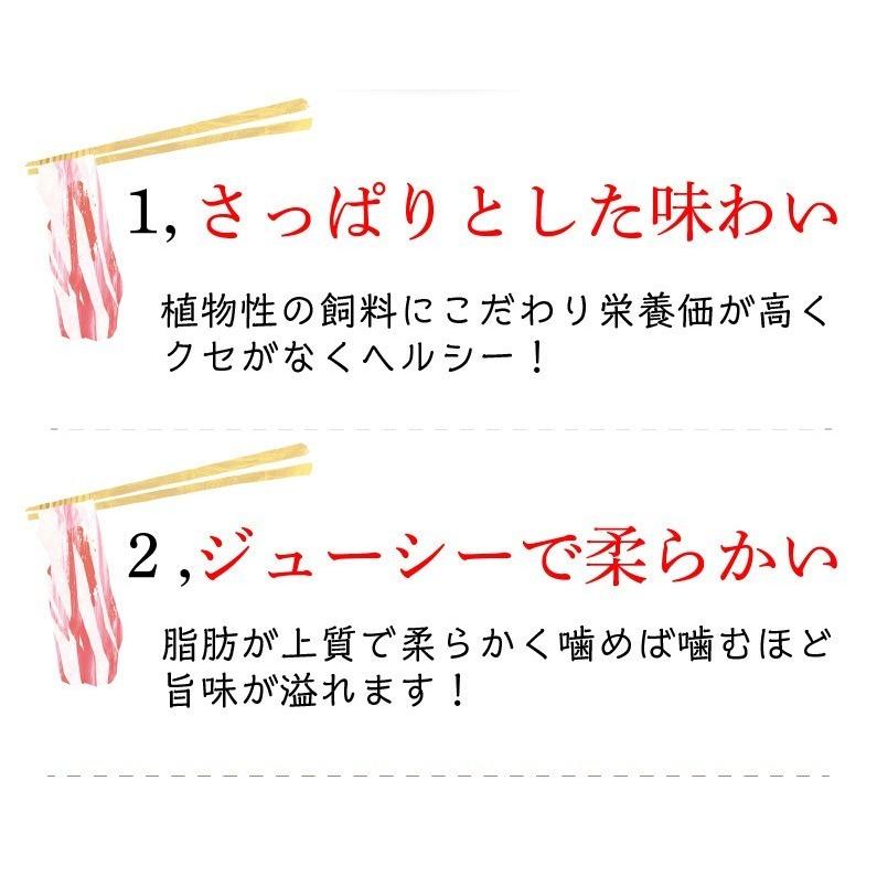 ギフト 宮崎県産きじょん山豚 しゃぶしゃぶ用 肩ロース 1,000g 5人前  ギフト対応可 送料無料 グルメ Y凍