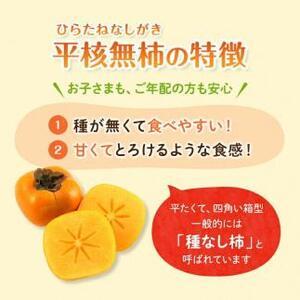 ふるさと納税 先行予約 和歌山県産 平核無柿 贈答用 赤秀 8〜13玉 和歌山県九度山町