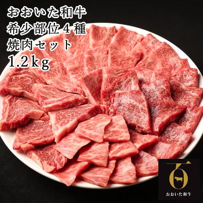 ふるさと納税 杵築市 匠牧場のおおいた和牛希少部位4種焼肉セット1.2kg(800g・400g各1箱)